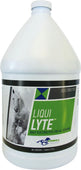 Uckele Health & Nutrition - Uckele Liqui Lyte Daily Electrolytes