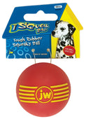 Jw - Dog/cat - Isqueak Ball