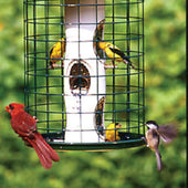 Audubon/woodlink - Avian Series Caged Mixed Seed Feeder