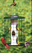 Avian Series Mixed Seed Cage Bird Feeder