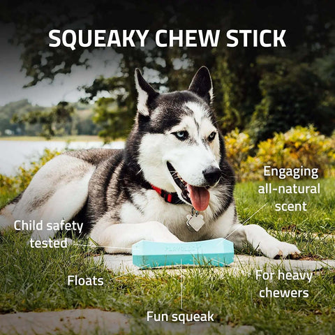PLAYOLOGY ALL NATURAL CHICKEN SCENTED SQUEAKY CHEW STICK LARGE