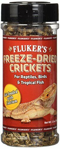 Fluker's Freeze Dried Crickets 1.2 Ounce. **Free Shipping**
