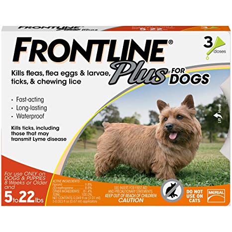 Frontline Plus Flea Tick Treatment for Small Dogs & Puppies (up to 22 lb)