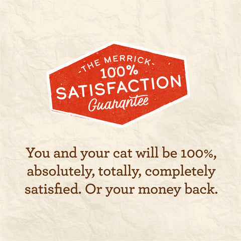 Merrick Limited Ingredient Diet Grain Free Real Turkey Pate Wet Cat Food