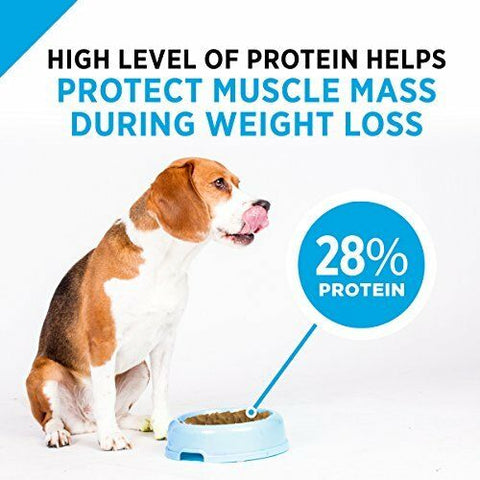 Purina Pro Plan Focus Weight Management Formula Adult Dry Dog Food - 6 Lb. Bag