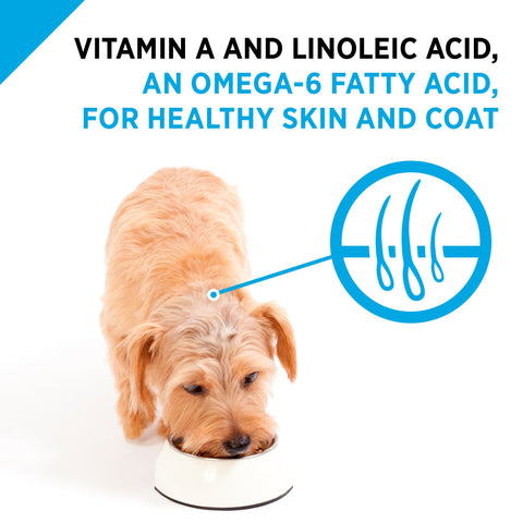 Purina Pro Plan Focus Small Breed Formula Dry Dog Food