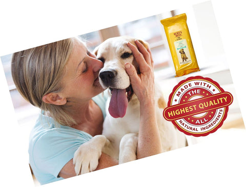 Burt's Bees for Dogs Multipurpose Grooming | Best Wet Grooming Wipes All Dogs
