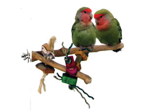 A&e Cage Company - Java Wood Branch Bird Toy