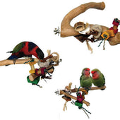 A&e Cage Company - Java Wood Branch Bird Toy