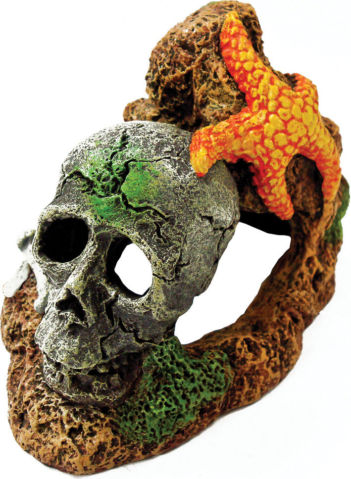 Blue Ribbon Pet Products - Exotic Environments Skull With Starfish