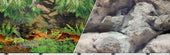Blue Ribbon Pet Products - Background Double-sided Rainforest/boulders