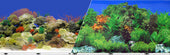 Blue Ribbon Pet Products - Background Double-sided Coral Reef/freshwater