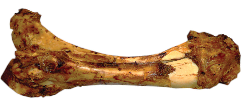 Best Buy Bones - Meaty Dino Bone Dog Chew (Case of 8 )