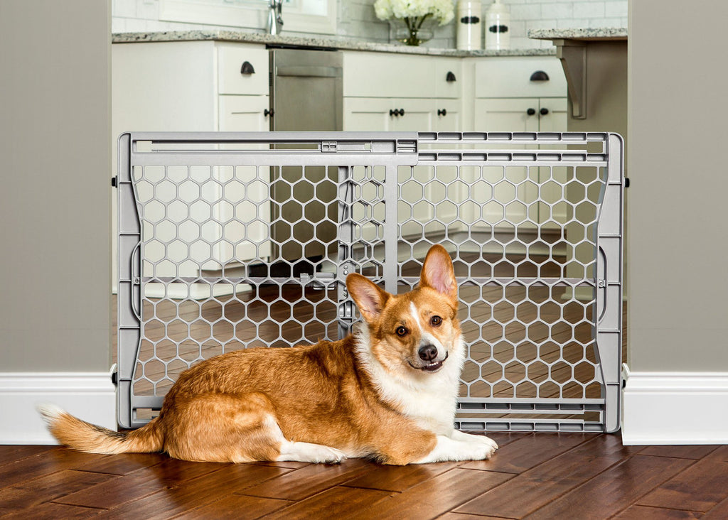 Carlson Pet Products - Carlson Plastic Expandable Pet Gate