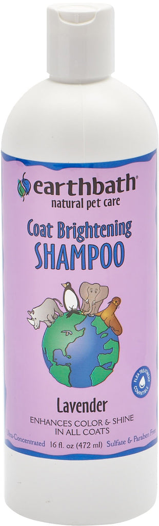 Earthwhile Endeavors Inc - Earthbath Coat Brightening Shampoo