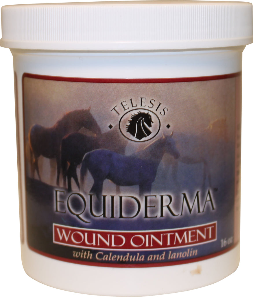 Equiderma         D - Equiderma Wound Ointment W/calendula & Neem
