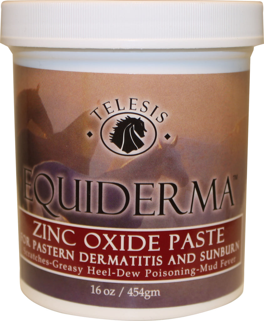 Equiderma         D - Equiderma Zinc Oxide Paste For Dermatitis & Sunbrn