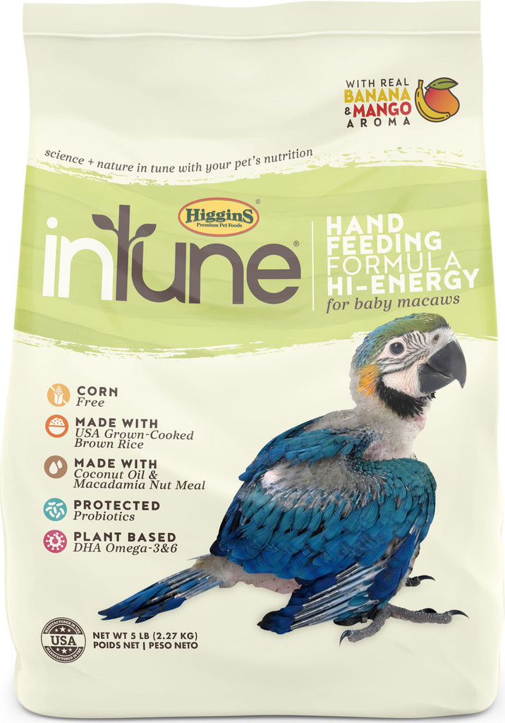 Higgins Premium Pet Foods - Higgins Intune Hand Feed Formula Hi Energy Macaw
