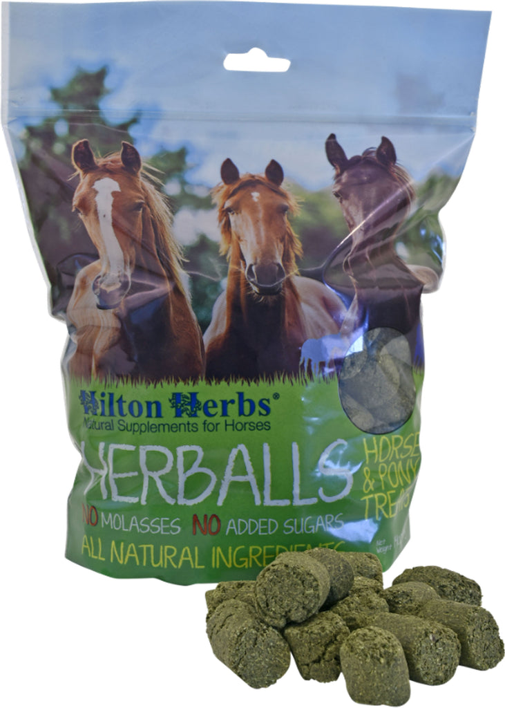 Hilton Herbs Ltd - Herballs Horse Treat