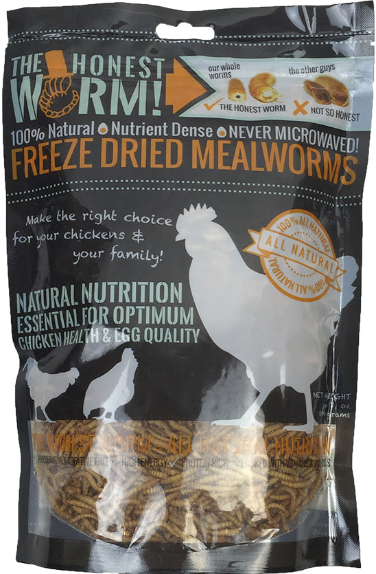 Dave&matts Chicken Stuff - The Honest Worm! Premium Yellow Mealworms
