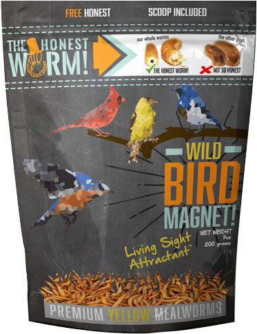 Dave&matts Chicken Stuff - The Honest Worm! Wild Bird Magnet