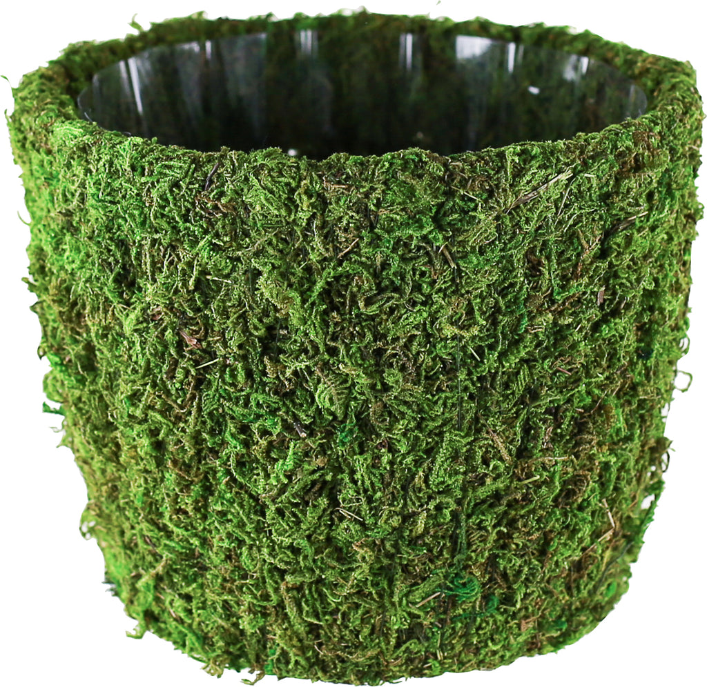 Syndicate Sales Inc. - Planter Round Agatha (Case of 12 )