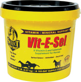 Richdel Inc          D - Vit-e-sel Vitamin & Mineral Supplement