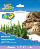 Ourpets Company - Cosmic Catnip Kitty Cat Grass
