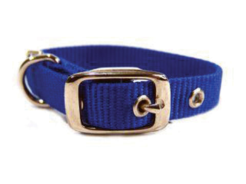 Hamilton Pet Company - Single Thick Nylon Dog Collar