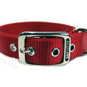 Hamilton Pet Company - Double Thick Nylon Dog Collar