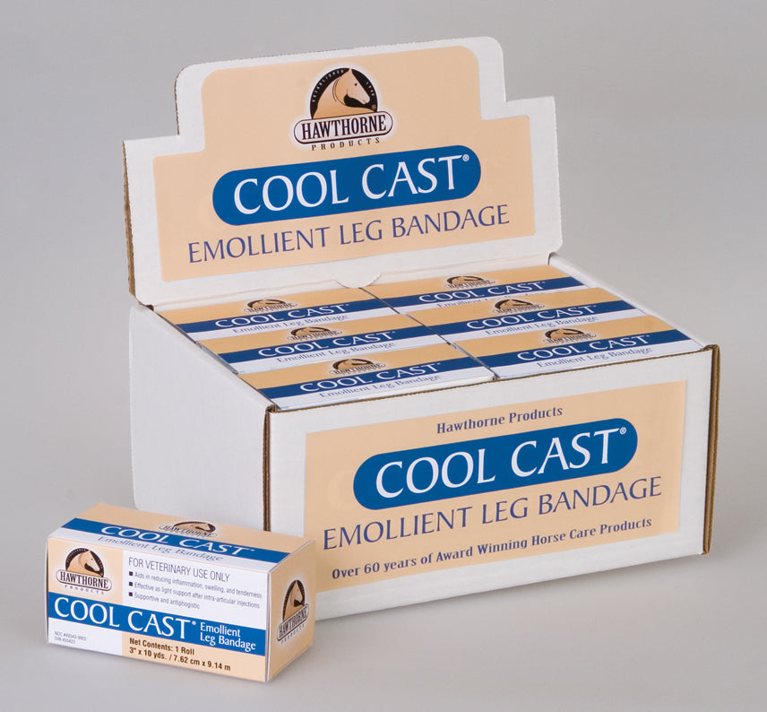 Hawthorne Products Inc - Cool Cast Emollient Leg Bandage (Case of 12 )