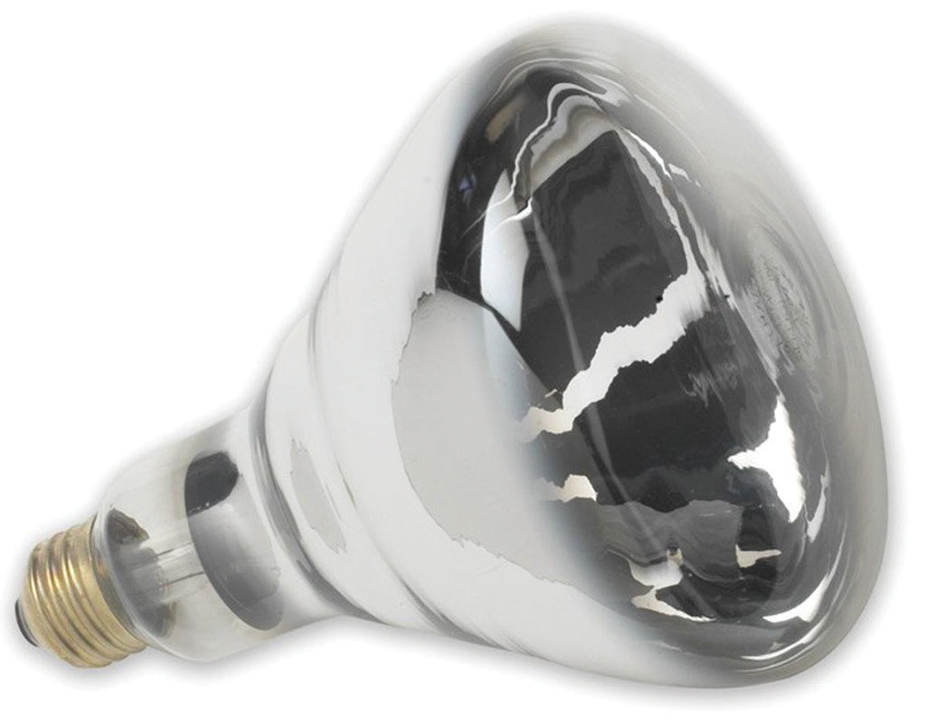 Satco Products Inc     P - Heat Lamp Bulb (Case of 12 )