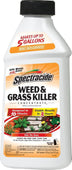 Spectracide - Weed And Grass Concentrate