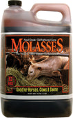 Evolved - Molasses Livestock