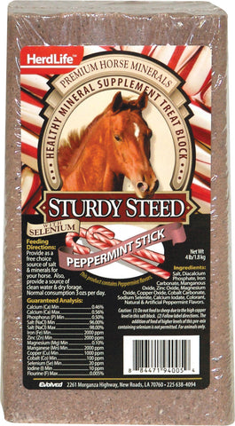Evolved - Sturdy Steed Horse Salt Block