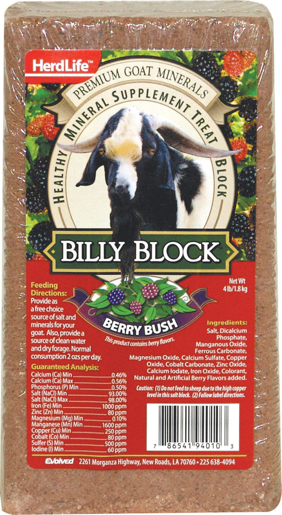 Evolved - Billy Block Goat Salt Block