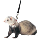 Marshall Pet Products - Ferret Harness And Lead