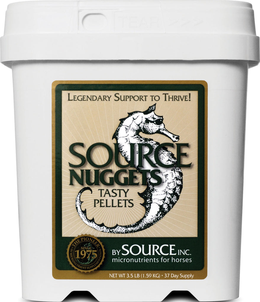 Source Inc - Source Nuggets Micronutrient Pellets For Horses
