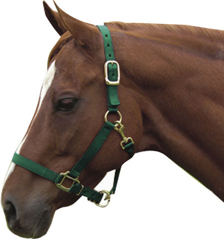 Horse And Livestock Prime - Premium Halter Chin With Snap