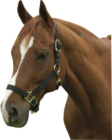 Horse And Livestock Prime - Premium Halter Chin With Snap