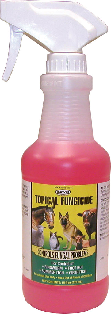 Durvet/equine           D - Topical Fungicide With Sprayer