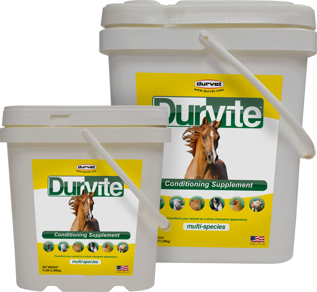 Durvet/equine           D - Durvet Durvite Conditioning Supplement