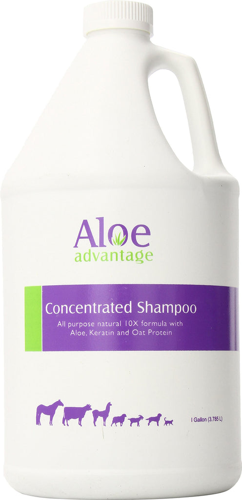 Durvet/equine           D - Aloe Advantage Concentrated Shampoo 10x