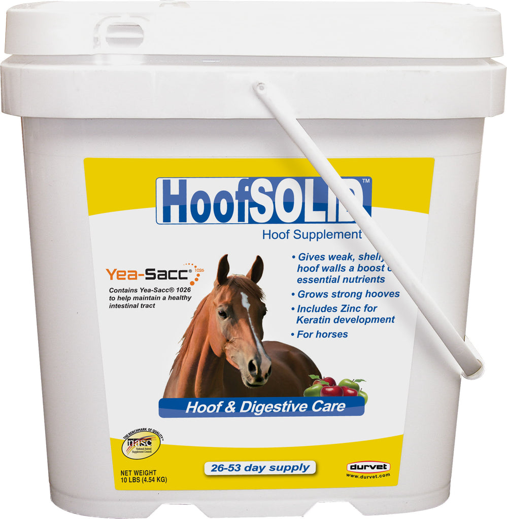 Durvet/equine           D - Durvet Hoof Solid Hoof Supplement
