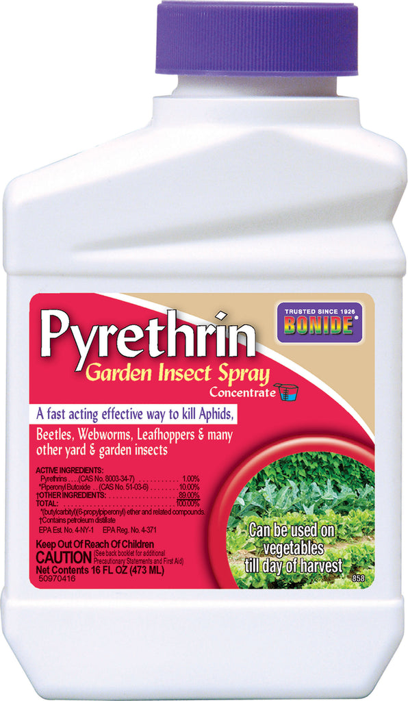 Bonide Products Inc     P - Pyrethrin Garden Insect Spray Concentrate