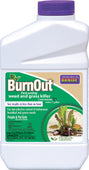 Bonide Products Inc     P - Burnout Weed And Grass Killer Concentrate