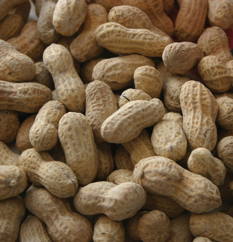Alpine Dairy Inc. - Alpine Ingredients #1 Fancy Peanut With Shell