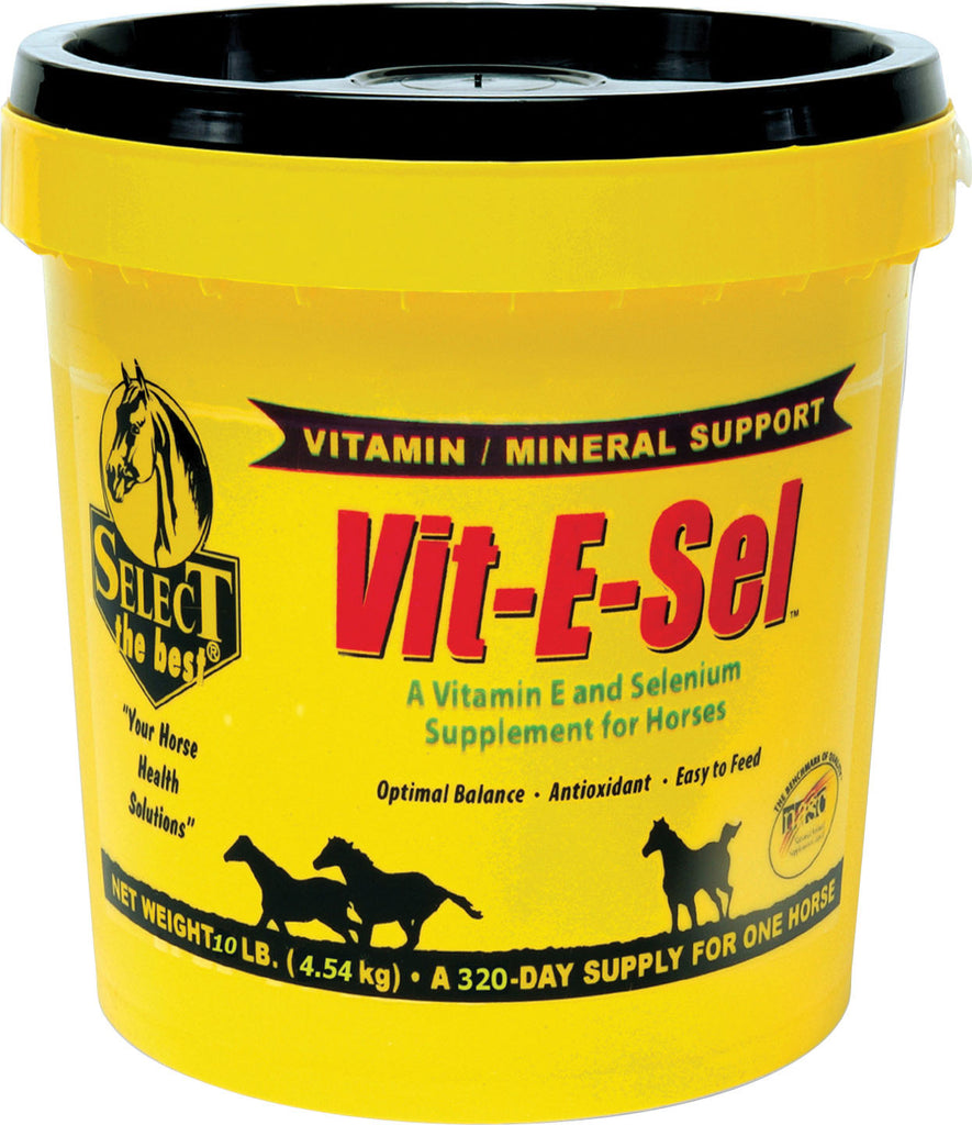 Richdel Inc          D - Vit-e-sel Vitamin & Mineral Supplement For Horses
