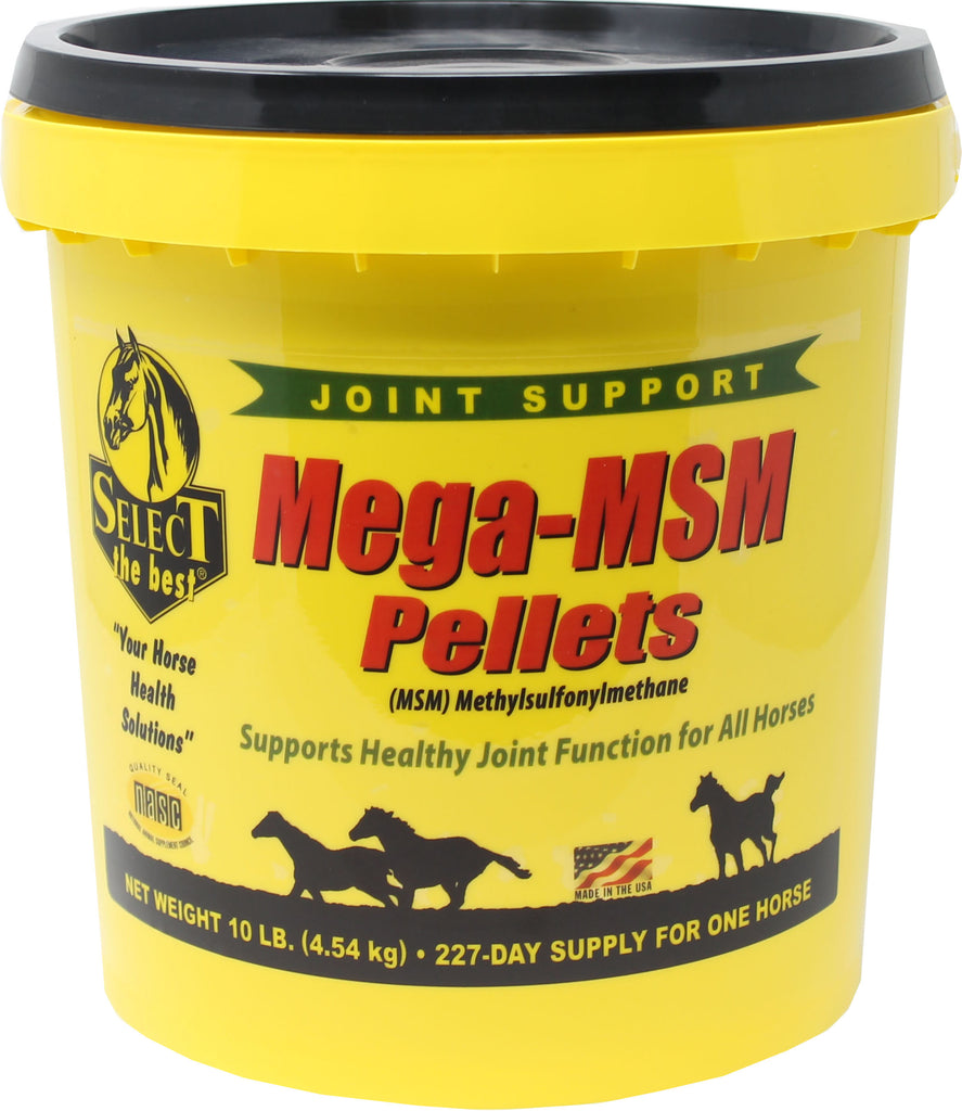 Richdel Inc          D - Mega-msm Pellets Joint Support For Horses
