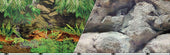 Double-sided Rainforest-boulder Background
